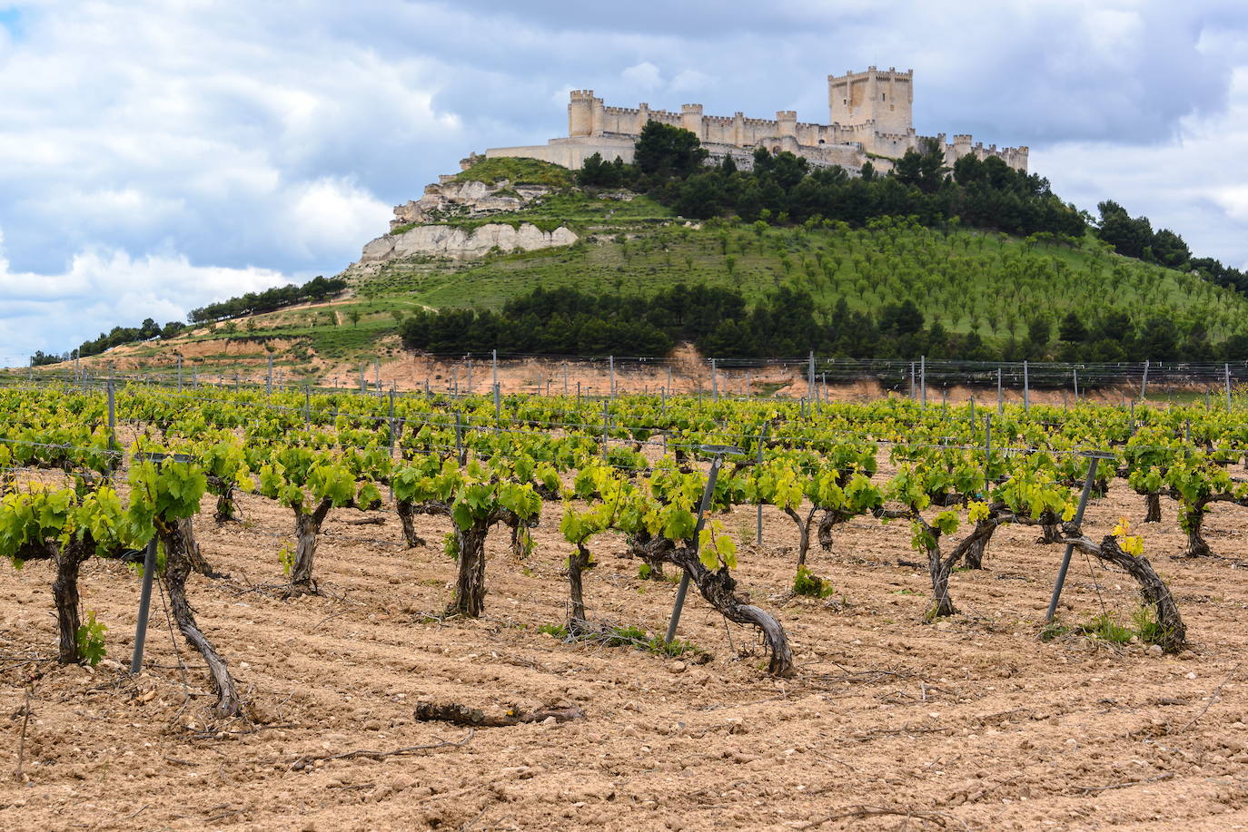 2.- PEÑAFIEL (Valladolid): 'Premio Turismo Rural 2022' | La histórica Villa de Peñafiel se extiende bajo su imponente Castillo (s. X/XV) junto al río Duratón, en las cercanías del Duero.