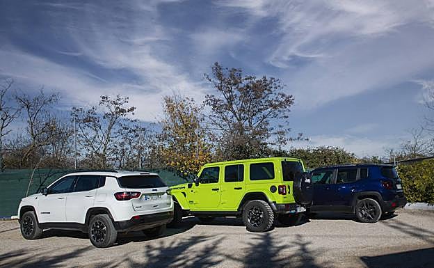 Así lucen sus traseras.