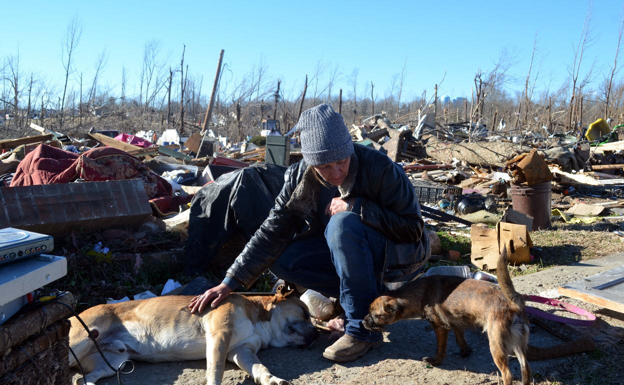 Perros en el pueblo que desapareció por el tornado.