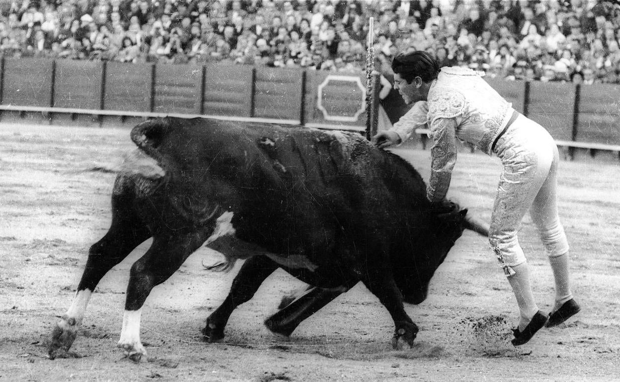 De esta foto la estocada de la tarde, le hizo el pintor valenciano Juan Reus uno de los grandes carteles que imprimió a lo largo de muchos años la imprenta valenciana Ortega para anunciar las ferias de toda España. 