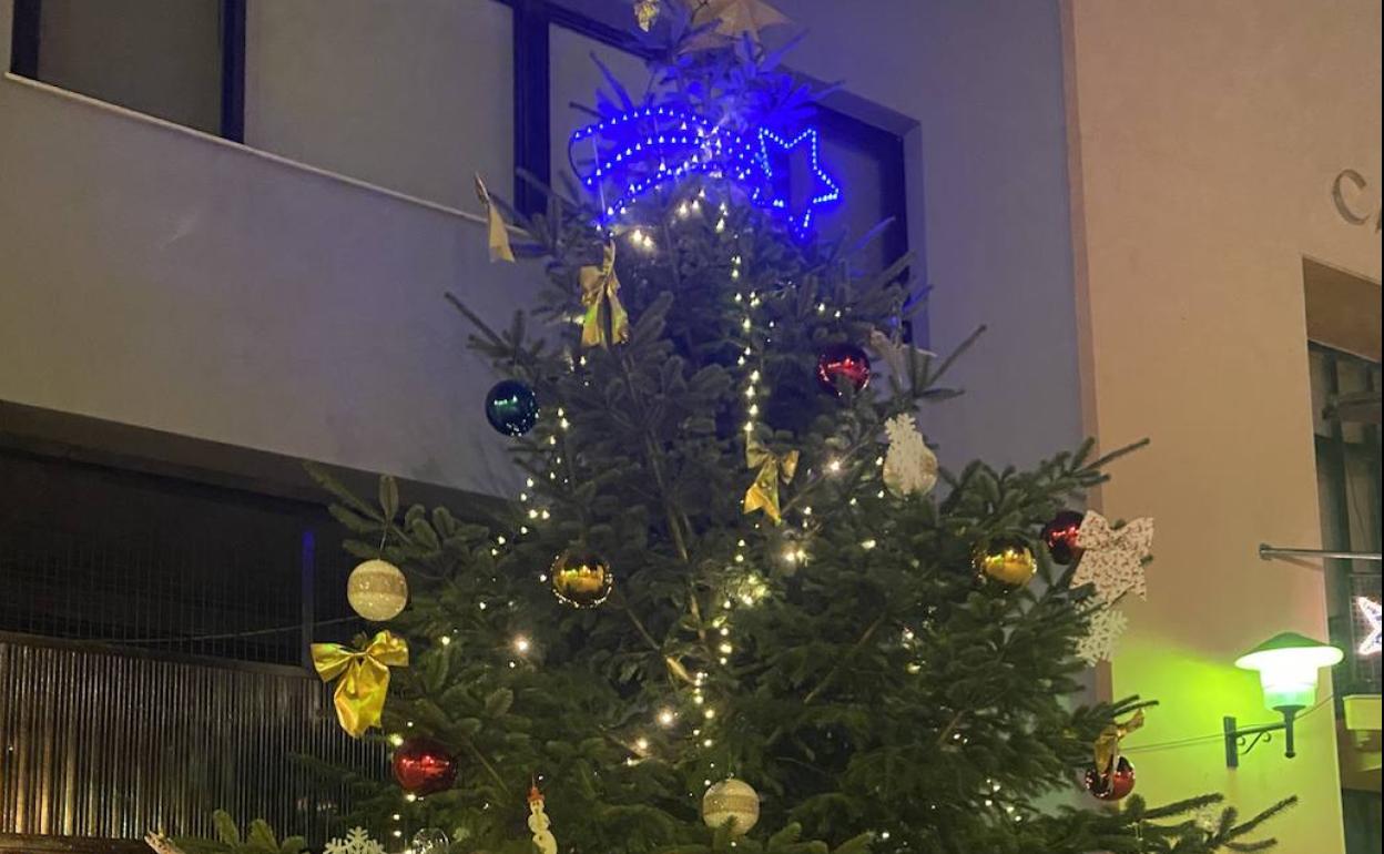 El árbol de Navidad de Massalfassar que será plantado. 