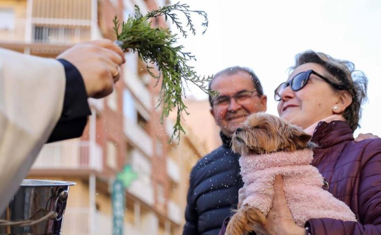 Bendición de animales en 2020. 