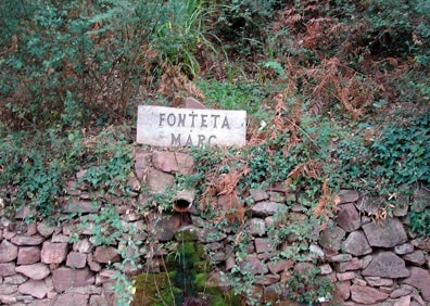 Imagen secundaria 1 - Rutas en Valencia | Adentrándonos en la Sierra de Espadán con inicio y final en Alfondeguilla