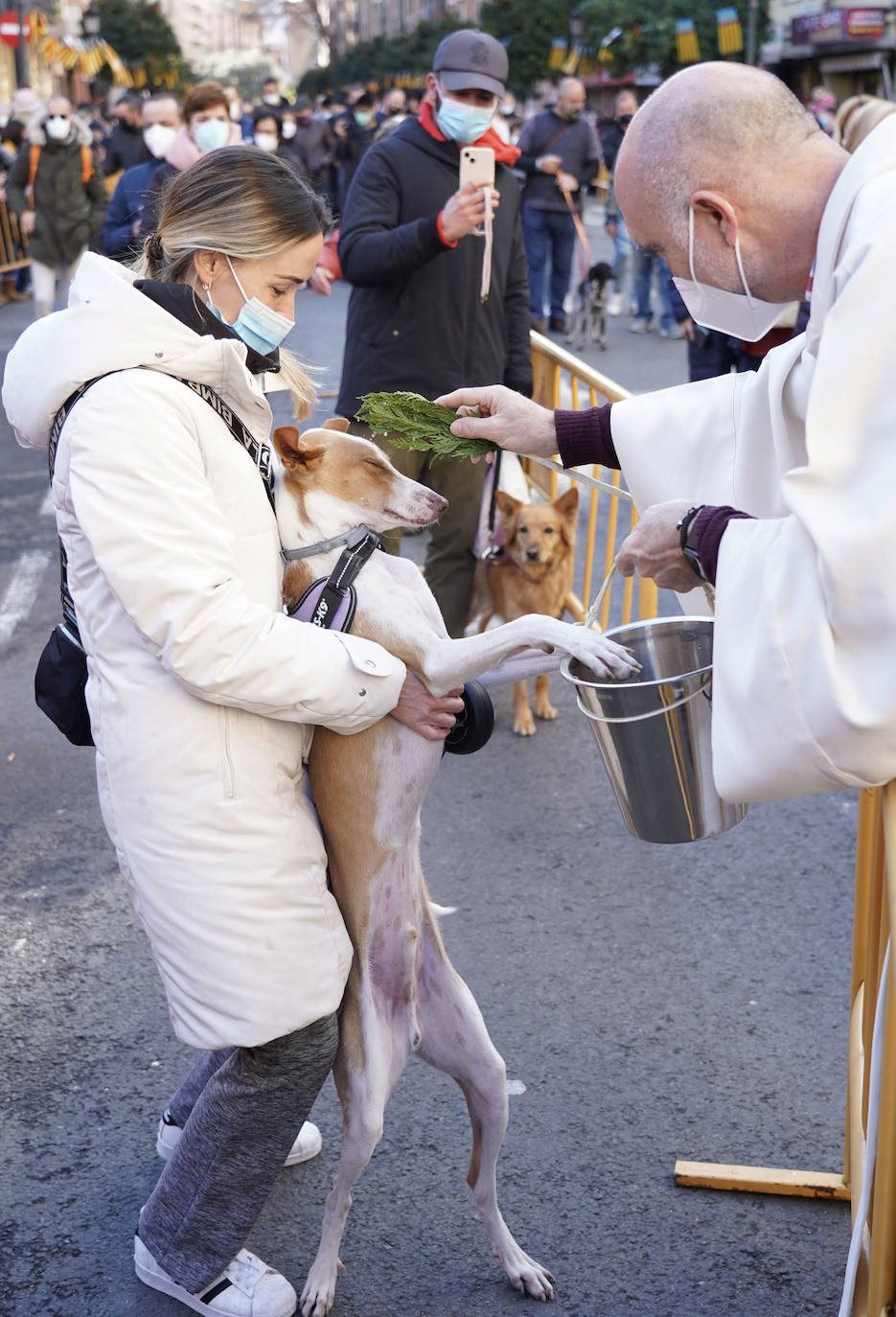 La bendición de animales se ha vuelto a celebrar en 2022 en la calle Sagunto de Valencia. 