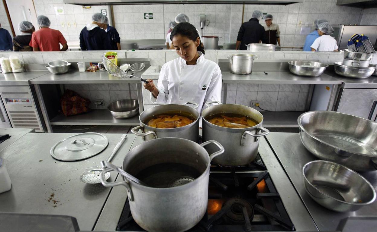 Hay ciclos formativos en materia de alimentación. 