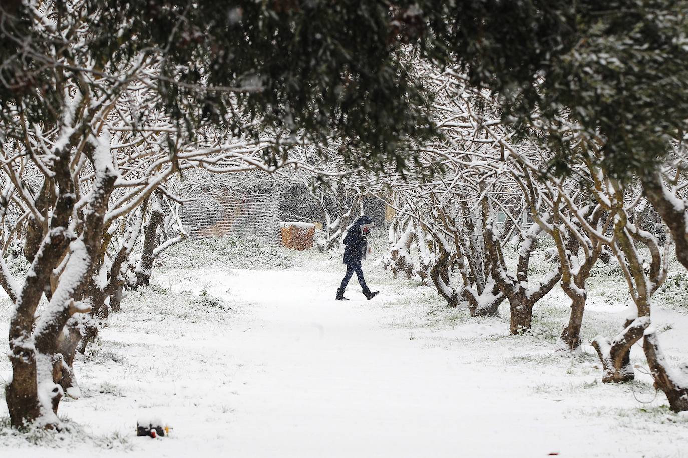 Nieve en Atenas provocada por la borrasca Elpis. 