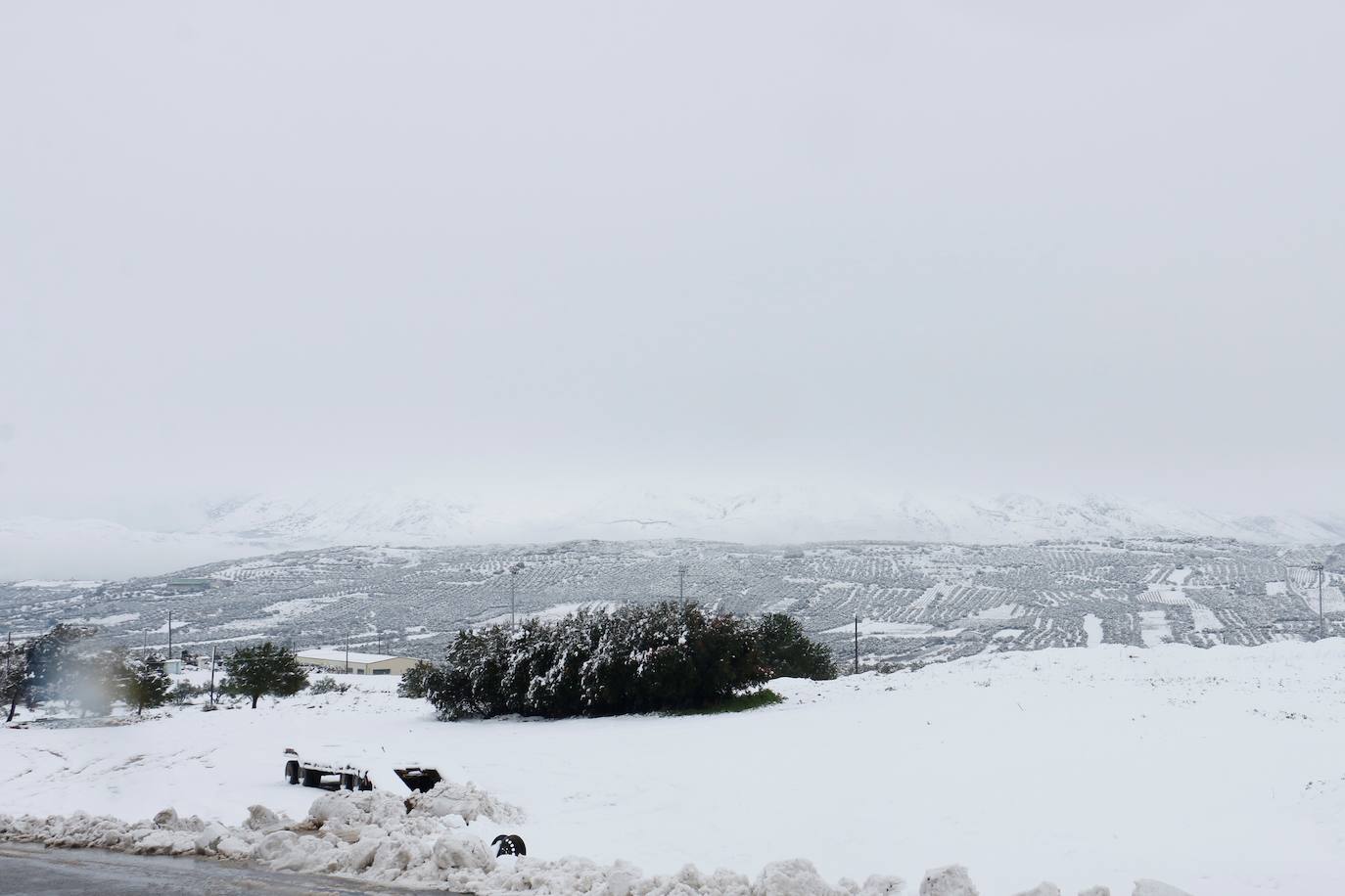 Nieve en Atenas provocada por la borrasca Elpis. 