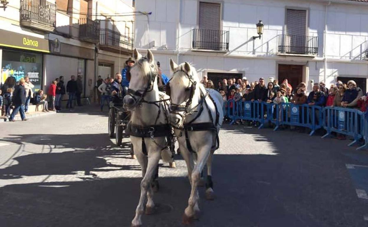 Una edición anterior del desfile de animales. 