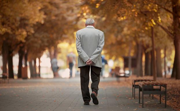 Un hombre pasea por un parque. 