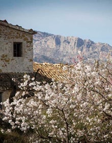 Imagen secundaria 2 - Qué hacer en la Marina Baixa: La floración del almendro en Guadalest | La Vall de Guadalest en flor, la belleza del almendro que avanza la primavera