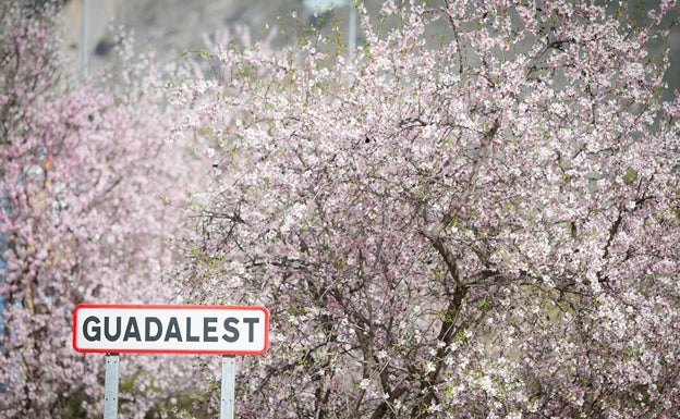 Imagen principal - Qué hacer en la Marina Baixa: La floración del almendro en Guadalest | La Vall de Guadalest en flor, la belleza del almendro que avanza la primavera