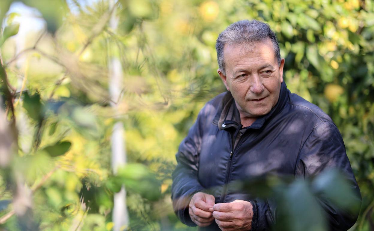 Vicent Todolí pasó el confinamiento en los campos que él mismo ha ido recuperando.