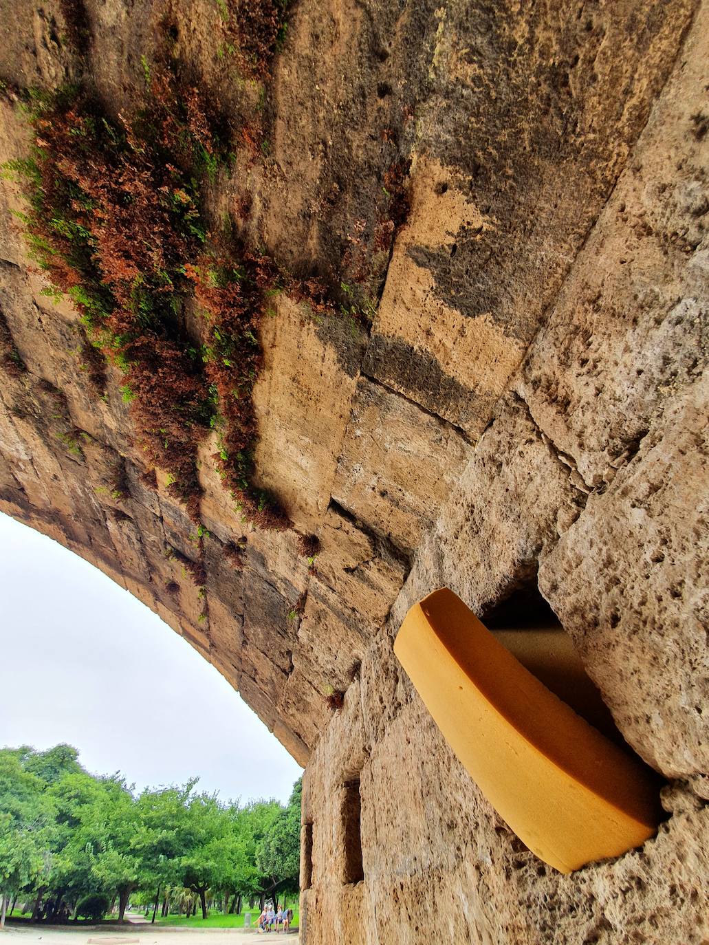 Los hierbajos y las humedades se adueñan de los puentes históricos del Jardín del Turia. 