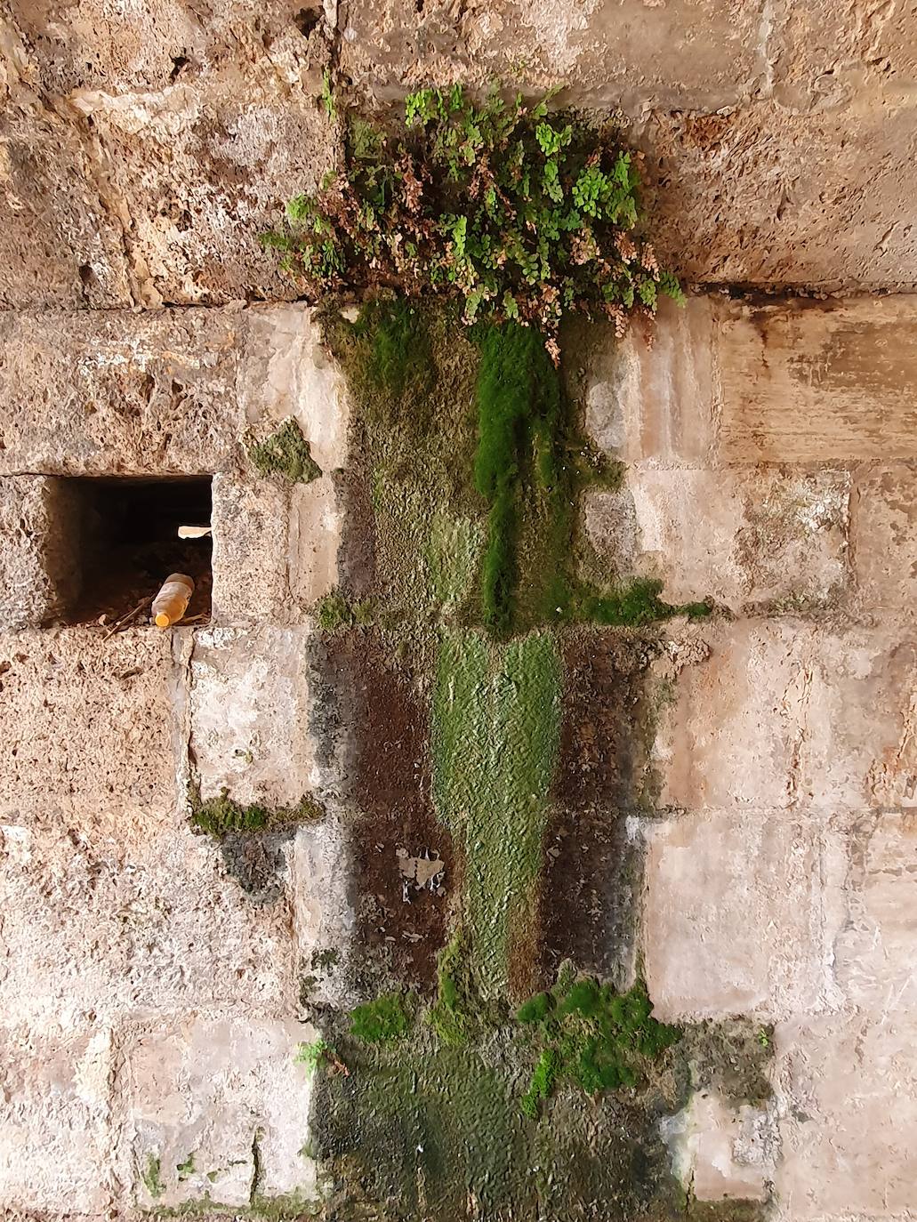 Los hierbajos y las humedades se adueñan de los puentes históricos del Jardín del Turia. 