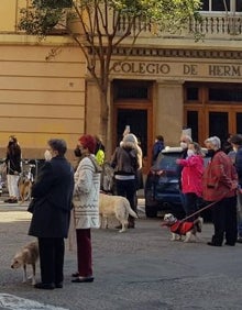 Imagen secundaria 2 - La edil Marta Torrado con su mascota, reparto de pañuelos falleros y asistentes. 