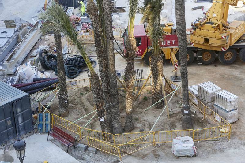 Fotos: Las obras de la Plaza de la Reina avanzan