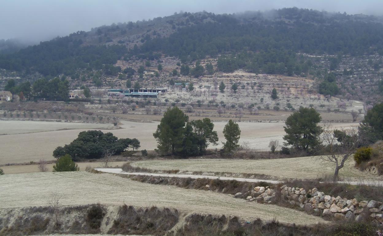La explotación ganadera se encuentra en la partida del Regadiu. 