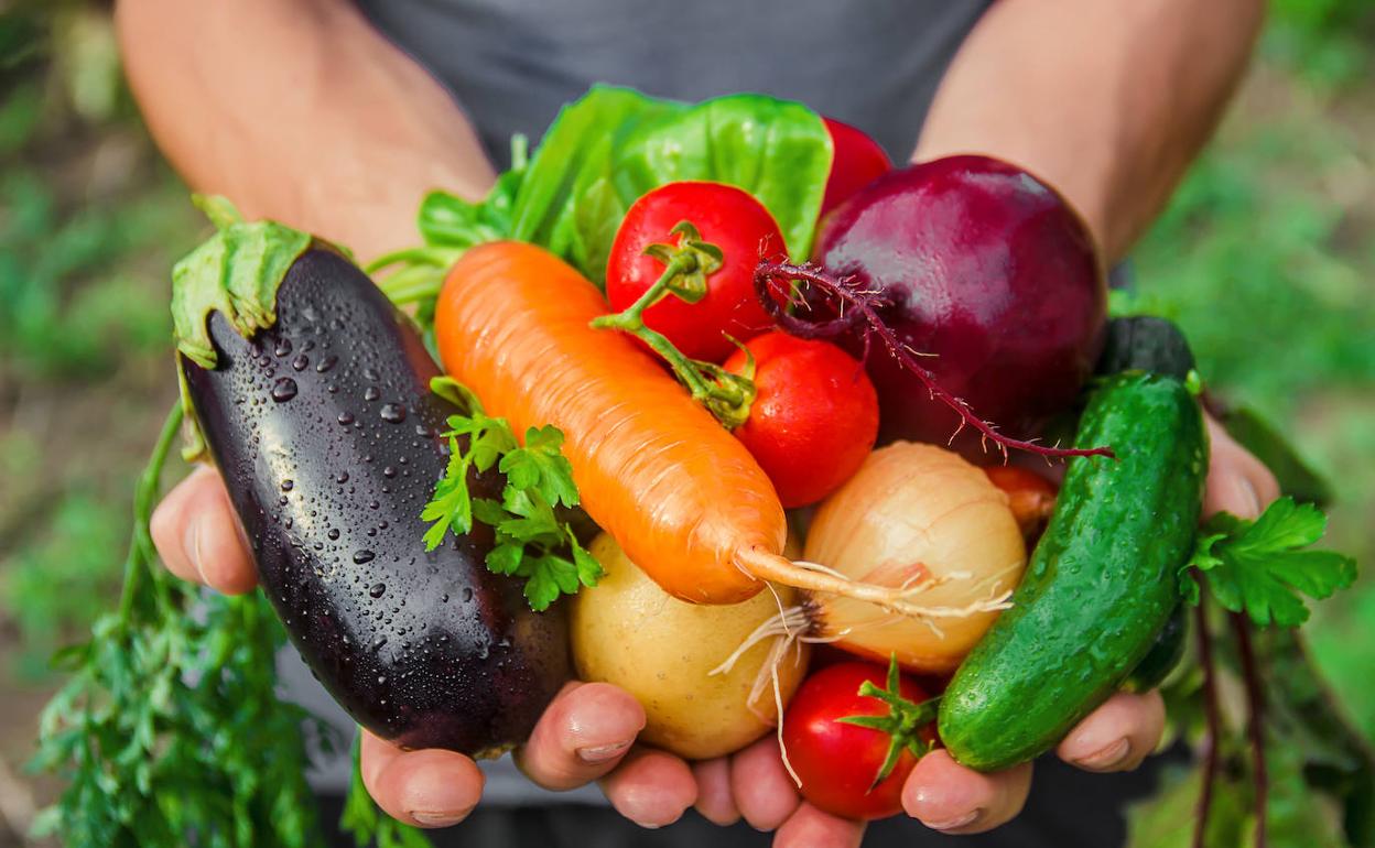 Hay superalimentos para todos los gustos: carnes, verduras, frutas, semillas o cereales.