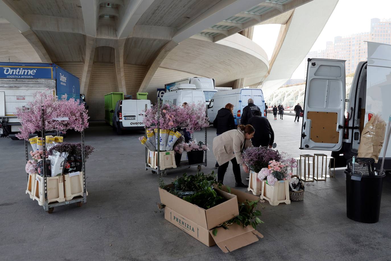 Fotos: Preparativos de la gala de los Premios Goya en Valencia