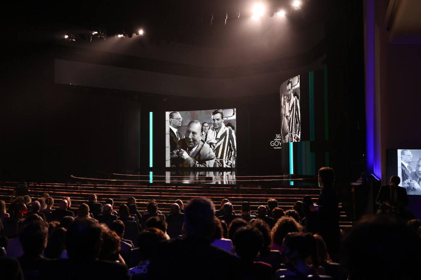 Fotos: Los Goya llenan de cine el Palau de Les Arts