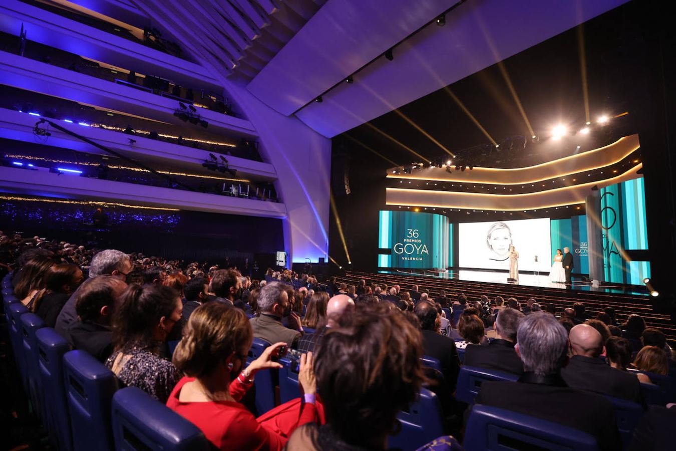 Fotos: Los Goya llenan de cine el Palau de Les Arts