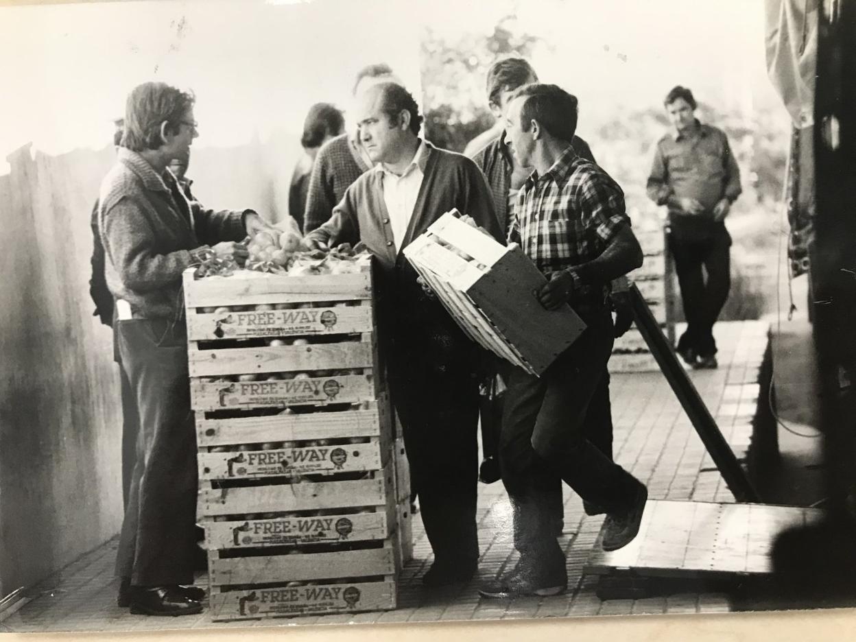  Inspección. Tareas de revisión de la calidad de naranjas para la exportación en las instalaciones de Silla, por donde era obligado antaño que pasaran todos los camiones con fruta que se dirigían a países del resto de Europa y se rechazaba lo que no convenía para la venta. 