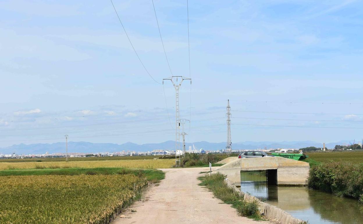 La zona de marjal de Alfafar. 