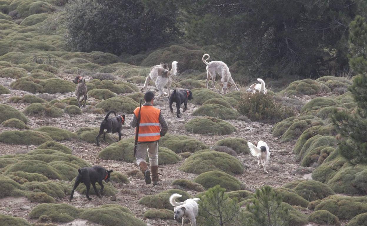 Un cazador con un grupo de perros. 