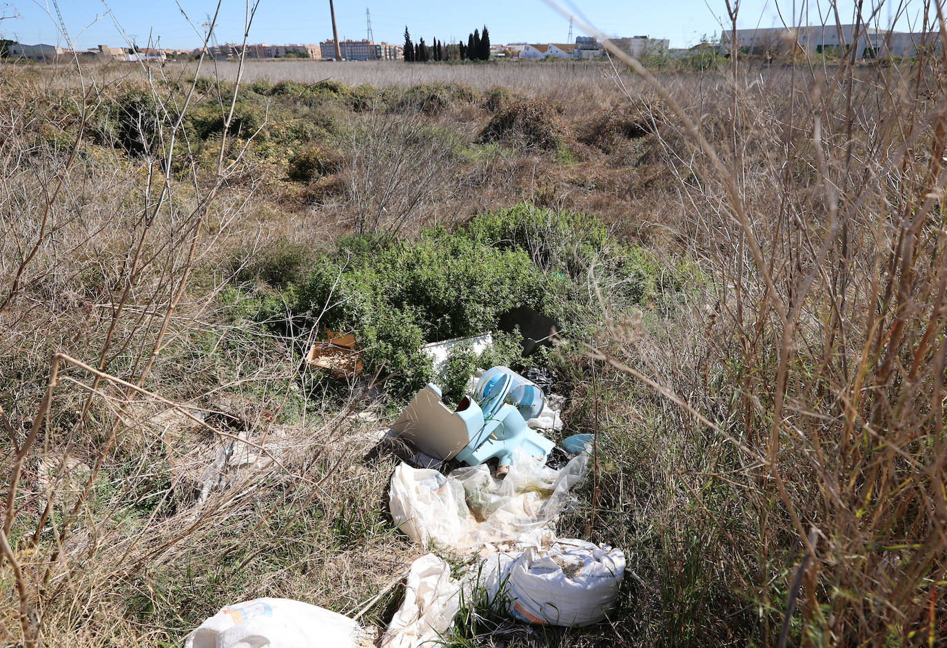 Diferencias. En l'Horta Sud proliferan cada vez más los campos abandonados y con maleza, mientras en l'Horta Nord se mantiene con primor donde se cultiva la chufa