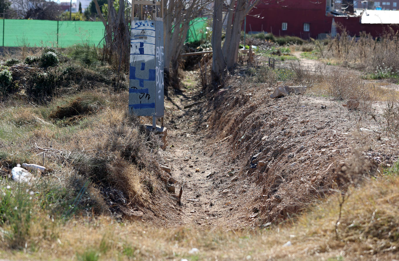 Diferencias. En l'Horta Sud proliferan cada vez más los campos abandonados y con maleza, mientras en l'Horta Nord se mantiene con primor donde se cultiva la chufa