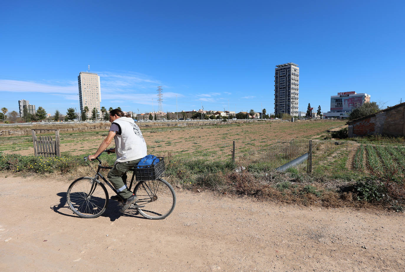 Diferencias. En l'Horta Sud proliferan cada vez más los campos abandonados y con maleza, mientras en l'Horta Nord se mantiene con primor donde se cultiva la chufa