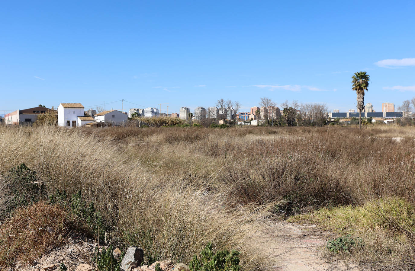 Diferencias. En l'Horta Sud proliferan cada vez más los campos abandonados y con maleza, mientras en l'Horta Nord se mantiene con primor donde se cultiva la chufa