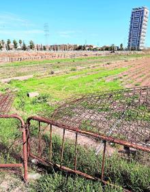 Imagen secundaria 2 - La huerta en Xirivella, Sedaví y La Torre.