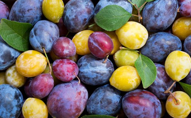 El superalimento que controla el colesterol y ayuda a adelgazar con su potente poder saciante