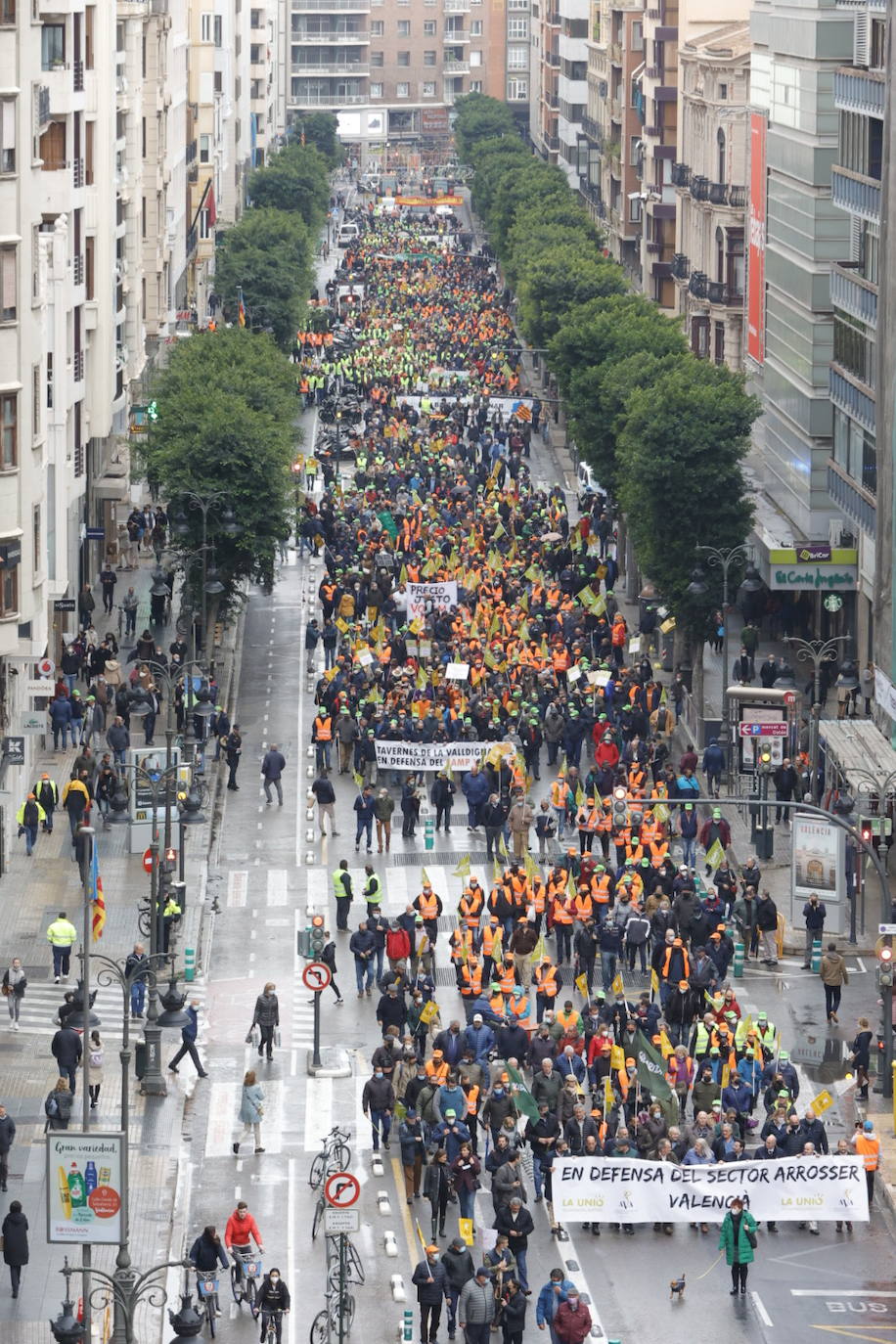 Fotos: Una tractorada recorre la ciudad de Valencia