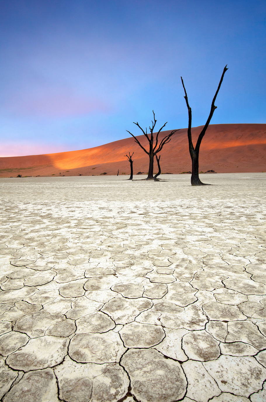 8.- Deadvlei o Valle de la Muerte (Namibia) | Este increíble cementerio de árboles de 900 años está ubicado en la reserva del parque Namib-Naukluft, en el desierto de Namib, considerado el desierto más longevo del mundo, pues ya existía durante la Era Terciaria, el período en el que se extinguieron los dinosaurios.