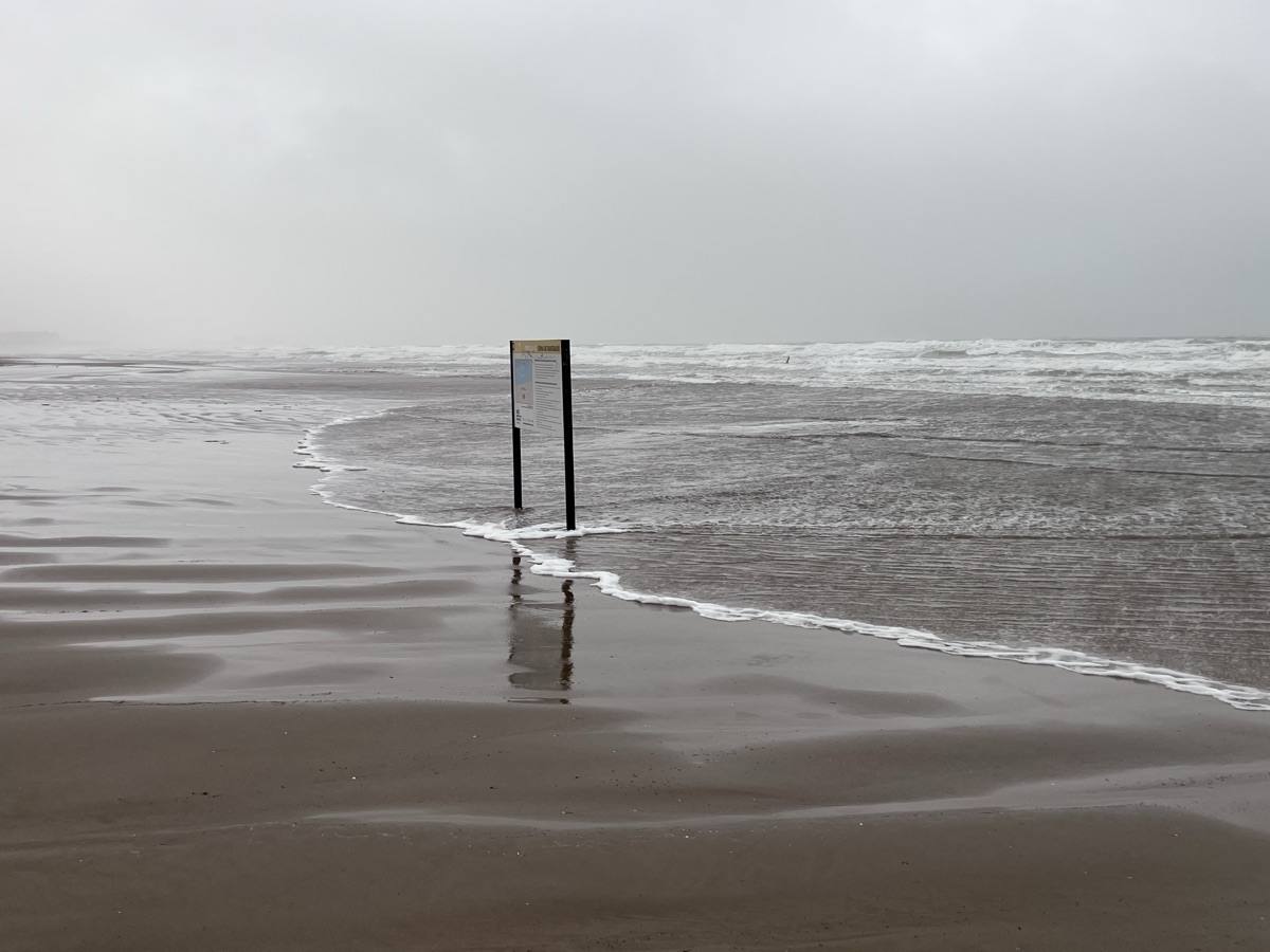 El paseo marítimo se ha llenado de arena por el temporal de viento en Valencia este 15 demarzo. 