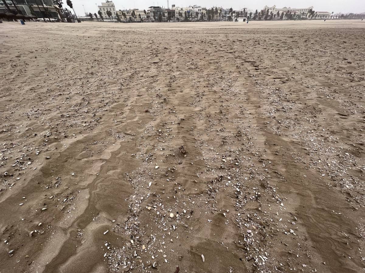 El paseo marítimo se ha llenado de arena por el temporal de viento en Valencia este 15 demarzo. 