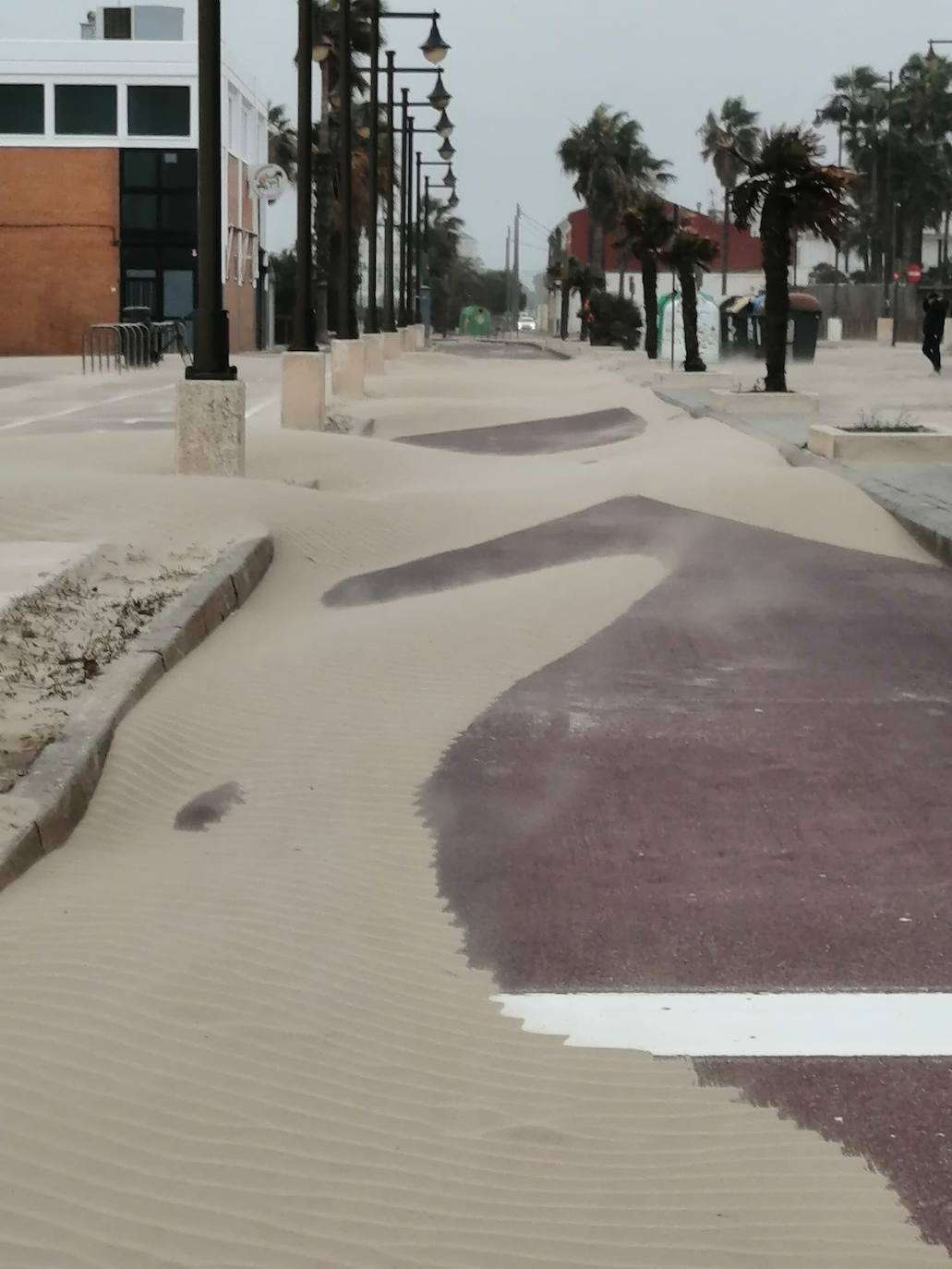 El paseo marítimo se ha llenado de arena por el temporal de viento en Valencia este 15 demarzo. 