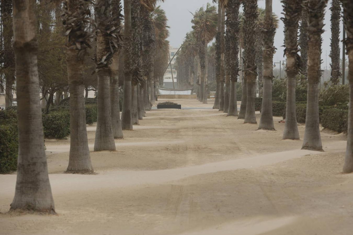 El paseo marítimo se ha llenado de arena por el temporal de viento en Valencia este 15 demarzo. 