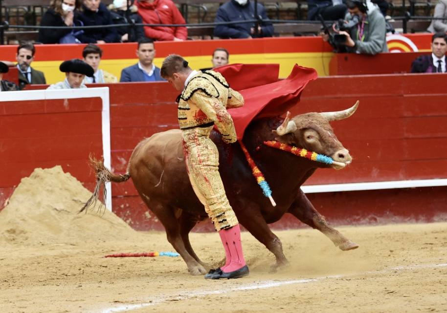 Este miércoles se ha reanudado la Feria Taurina de Fallas 2022 en la Plaza de Toros de Valencia. Han hecho el paseíllo los novillos de El Pilar para 'El Niño de las Monjas', Álvaro Alarcón y Manuel Perera.