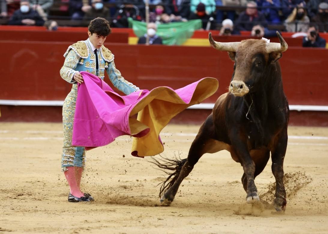 Este miércoles se ha reanudado la Feria Taurina de Fallas 2022 en la Plaza de Toros de Valencia. Han hecho el paseíllo los novillos de El Pilar para 'El Niño de las Monjas', Álvaro Alarcón y Manuel Perera.