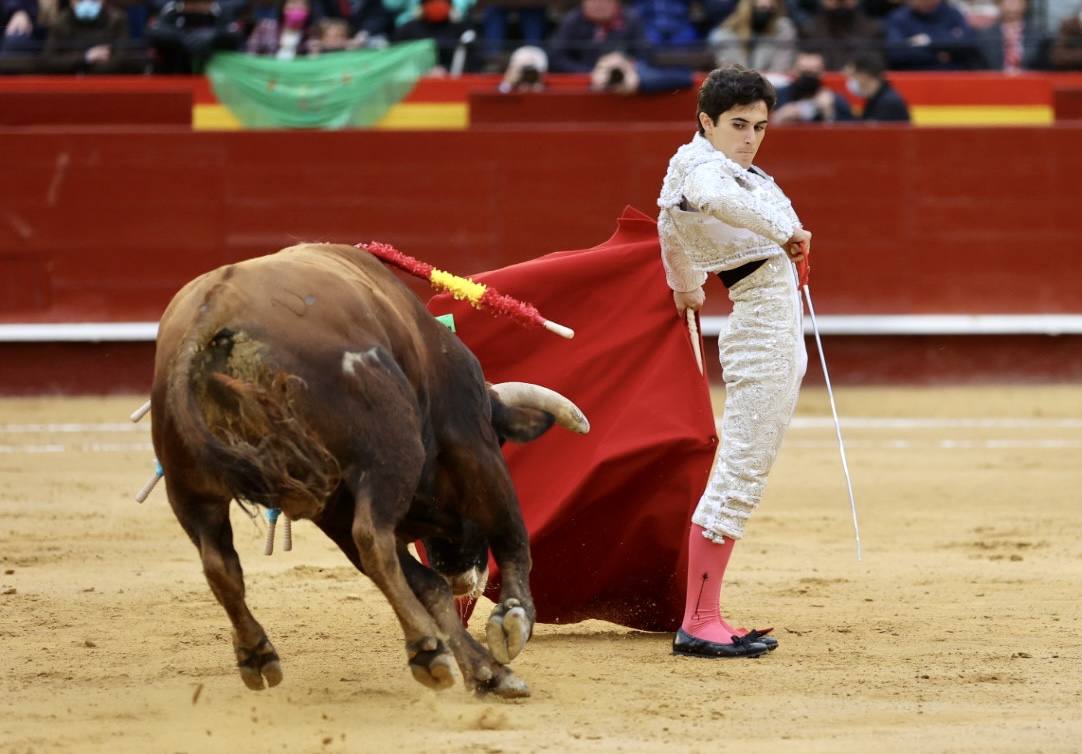 Este miércoles se ha reanudado la Feria Taurina de Fallas 2022 en la Plaza de Toros de Valencia. Han hecho el paseíllo los novillos de El Pilar para 'El Niño de las Monjas', Álvaro Alarcón y Manuel Perera.