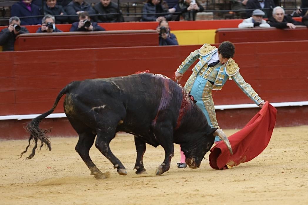 Este miércoles se ha reanudado la Feria Taurina de Fallas 2022 en la Plaza de Toros de Valencia. Han hecho el paseíllo los novillos de El Pilar para 'El Niño de las Monjas', Álvaro Alarcón y Manuel Perera.