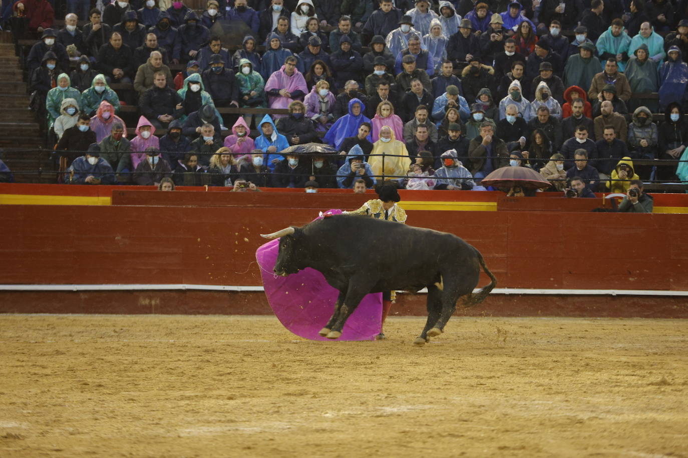 Fotos: Corrida de toros de las Fallas 2022: jueves 17 de marzo