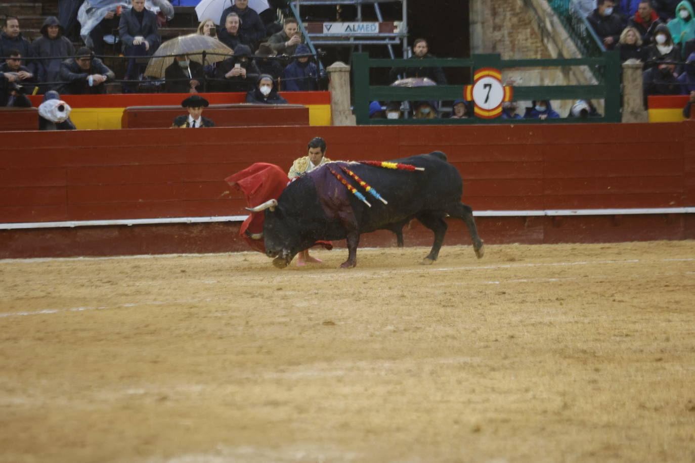 Fotos: Corrida de toros de las Fallas 2022: jueves 17 de marzo