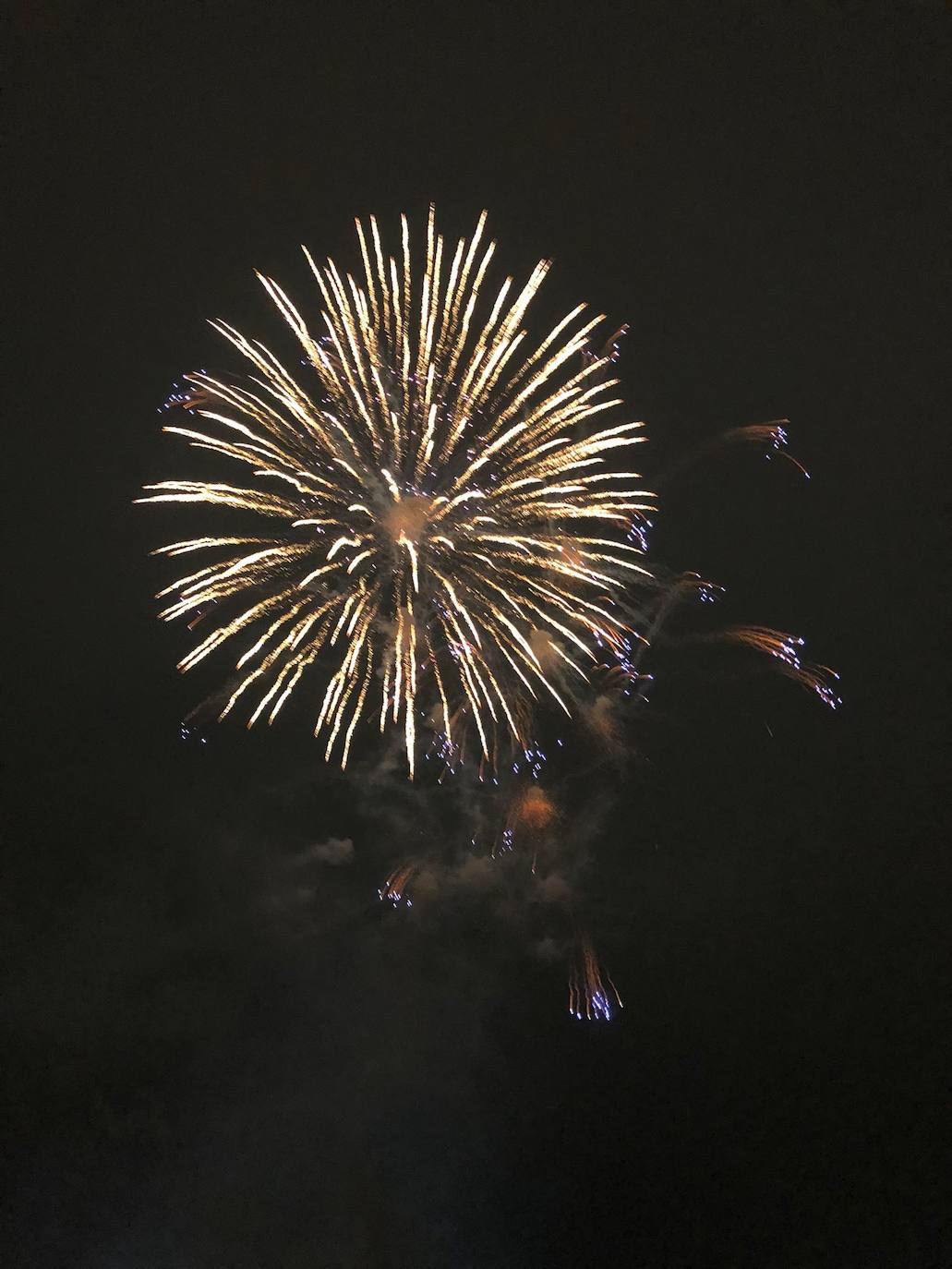 Fotos: La Nit del Foc ilumina el cielo de Valencia