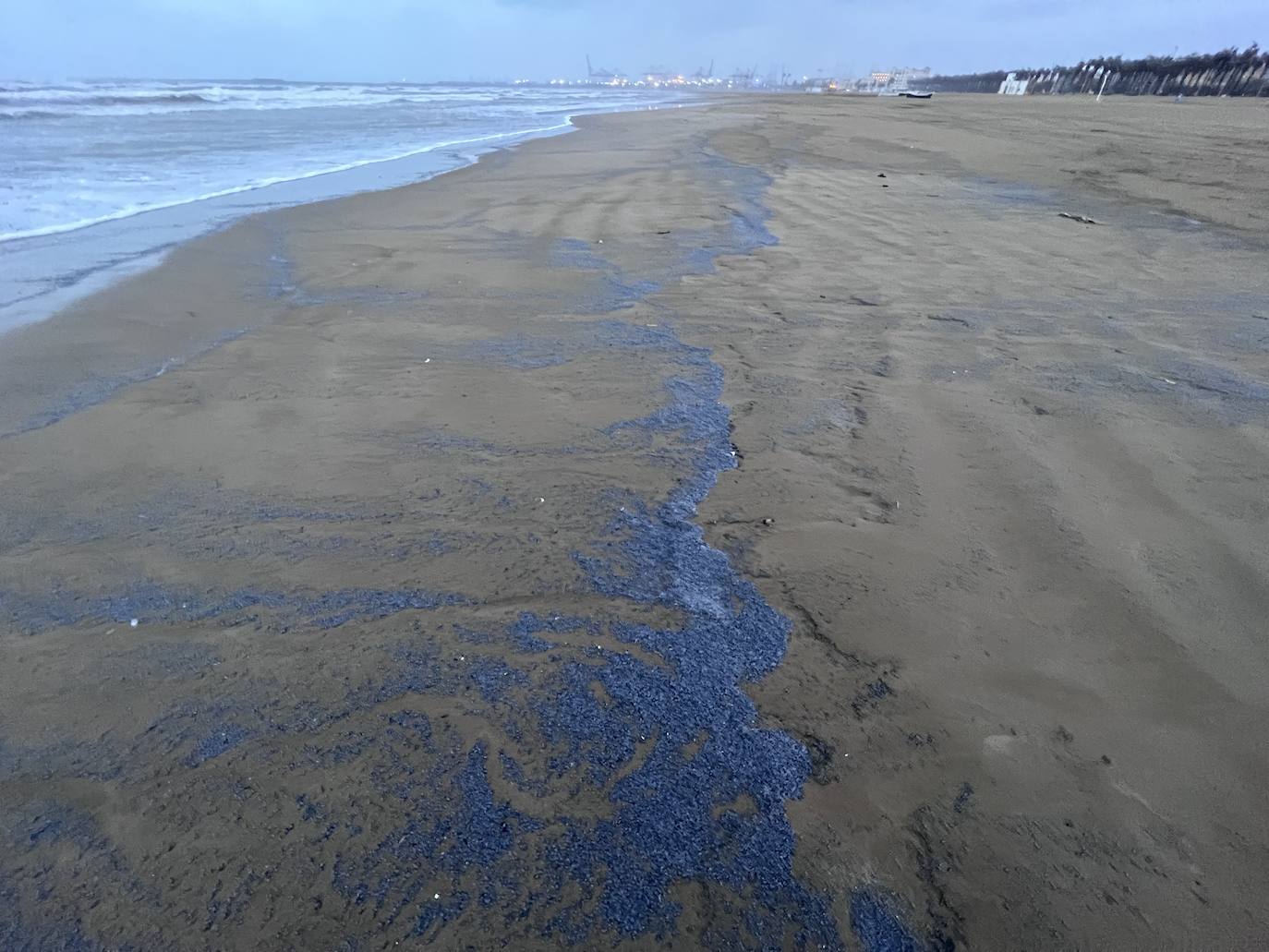 Playa de la Malvarrosa.