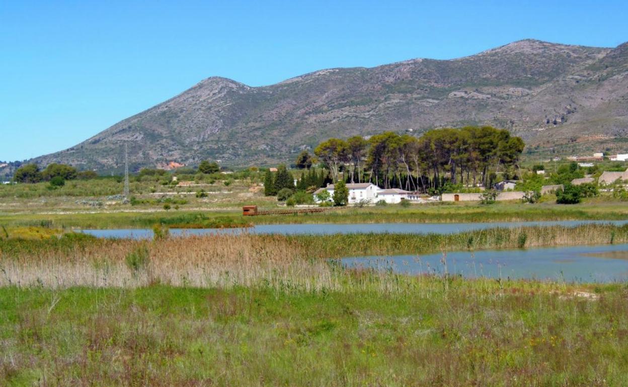 La Albufera de Gaianes es una laguna endorreica. 