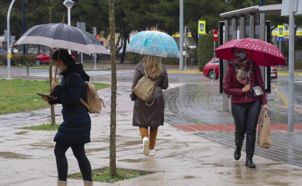 Las lluvias se han generalizado en marzo. 